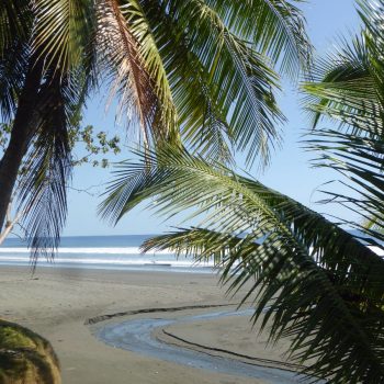 Corcovado NP